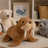 Wild Republic - Kuscheltier - Cuddlekins Mini - Walross Produktbild-Vorschau 5