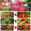 LED Pflanzenlampe Vollspektrum für Zimmerpflanzen – LEDs Produktbild-Vorschau 2