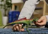 Schleich Dinosaurs Concavenator               15041 Produktbild-Vorschau 5