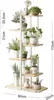 A multi-tiered plant stand with various potted plants on each shelf. Náhľad obrázku produktu