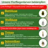 An informational graphic about controlling garden pests with lacewing larvae. Produktbild-Vorschau