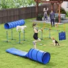 PawHut Agility Set voor honden, 11-delig. Productafbeelding-voorbeeld 2
