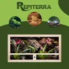 Repiterra® Terrarium Seitenbelüftung Holzterrarium OSB Holz Produktbild-Vorschau 6