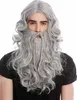 WIG ME UP Perücke Bart Wikinger Barbar Grau 90760-A+B-ZA68E Produktbild-Vorschau 2