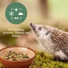 Orni Igelfutter mit Insekten ohne Getreide 1kg | Produktbild-Vorschau 4