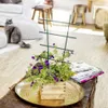Windhager Blumenstütze 43 x 23 cm Produktbild-Vorschau 2