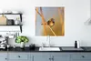 MuchoWow® Poster Vögel - Blaukehlchen - Schilf 75x75 cm - Produktbild-Vorschau 3