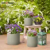 A collection of flower pots with pansies on a wooden deck, with a lush green bush in the background. Náhled obrázku produktu