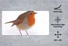 MuchoWow® Mauspad Mousepad Vogel - Rotkehlchen - Schnee Produktbild-Vorschau 2