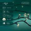 Kaemingk Lumineo LED Lichterkette Basic mit Dimmer 120 LED Produktbild-Vorschau 11