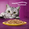 WHISKAS Adult Saszetki 48 x 85g Drobiowa Uczta Mokra Karma Podgląd zdjęcia produktu 14