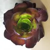 Semponium SURREAL® Vortex Voir les images du produit 2