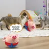 Generisch Interaktives Hundespielzeug, Magic Ball für Produktbild-Vorschau 4