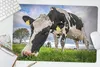 MuchoWow® Schreibtischunterlage Kuh - Gras - Bauernhof - Produktbild-Vorschau 5