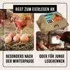 AniForte Toneier für Hühner 6 Stück – Naturgetreue Produktbild-Vorschau 5