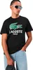 T-shirt  Del Marchio Lacoste Del Modello Tee Shirt Turtle Anteprima dell’immagine prodotto 8