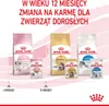 Various Royal Canin cat food products displayed with age-related feeding recommendations. Produktbild-Vorschau