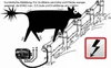 An illustration showing a cow interacting with an electric fence, with a generator and warning symbol. Produktbild-Vorschau