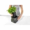 A person is placing a potted plant into a self-watering pot. Produktbild-Vorschau