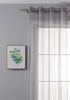 A close-up of a sheer gray curtain hanging on a curtain rod next to a framed picture of a green plant. Produktbild-Vorschau