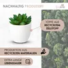 Künstliche Pflanzen Mini 3er Set Dekoration Kunstpflanzen Produktbild-Vorschau 6