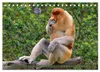 Nasenaffen von Borneo (Tischkalender 2027 DIN A5 quer), Produktbild-Vorschau 8