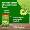 Substral Sport & Spiel Rasensamen 2 kg für 100 m² Produktbild-Vorschau 12