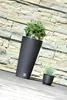 Two planters with plants in front of a stone wall. Produktbild-Vorschau