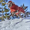 Hurtta Extreme Warmer III ECO zimní bunda - skořicová, Náhled obrázku produktu 2