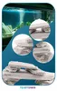 Pierres décoratives pour aquarium, 24 kg, blanc ardoise Voir les images du produit 11