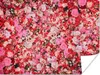 MuchoWow® Poster Blumen - Farben - Rosen 160x120 cm - Foto Produktbild-Vorschau 1