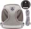 A gray dog harness and leash set, with a smaller black harness shown in a circular inset. Náhled obrázku produktu