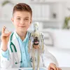 A young boy dressed as a doctor holds a vial and stands next to a transparent anatomical model of the human body. Anteprima dell’immagine prodotto
