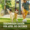 Substral Sport & Spiel Rasensamen 2 kg für 100 m² Produktbild-Vorschau 10