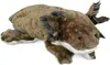 Kuscheltier Axolotl braun 28 cm Stoffaxolotl Produktbild-Vorschau 5