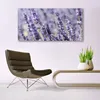 Glasbilder 140x70 Wandbild Druck auf Glas Blumen Pflanzen Produktbild-Vorschau 3