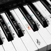 kwmobile Klavier Keyboard Noten Aufkleber - für 49 61 76 88 Produktbild-Vorschau 1