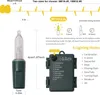 Diagrams and text explaining the features and dimensions of LED string lights. Produktbild-Vorschau