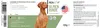 REAVET Ulmenrinde Pulver Amerikanisch für Hunde & Katzen Produktbild-Vorschau 4