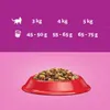 Whiskas Adult 1,4kg - Vollwertiges Trockenfutter für Produktbild-Vorschau 8