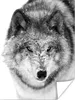 MuchoWow® Poster Wolf mit verschneitem Kopf in schwarz-weiß Produktbild-Vorschau 1