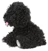 Topmodel Plush Dog Black Teddybär Schwarz  Kinder Schwarz Produktbild-Vorschau 3
