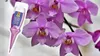 Orchideen-Nährstoff 0,03 l - Hochwertig - Nährstoffreich - Produktbild-Vorschau 4
