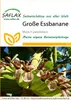 SAFLAX  - Banane plantain - 10 graines - Musa Voir les images du produit 10