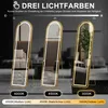 INONEFT Volledige spiegel, 150 x 40 cm, gebogen staande Productafbeelding-voorbeeld 11