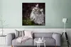 MuchoWow® Poster Eine graue Maine Coon Katze 75x75 cm - Produktbild-Vorschau 5