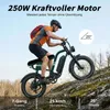 E-Bike Cityrad MX10 E-Fahrrad 648WH Pedelec, 48V 13,5 AH Produktbild-Vorschau 3