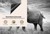 KitchenYeah© Herdabdeckplatte Elefant - Gras - Tiere - Produktbild-Vorschau 4