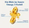 Omega 3 Fischöl – 2000 mg Fischöl pro Tagesdosis mit 600 mg Produktbild-Vorschau 5