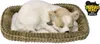 Perfect Petzzz Chihuahua 96262 Produktbild-Vorschau 6